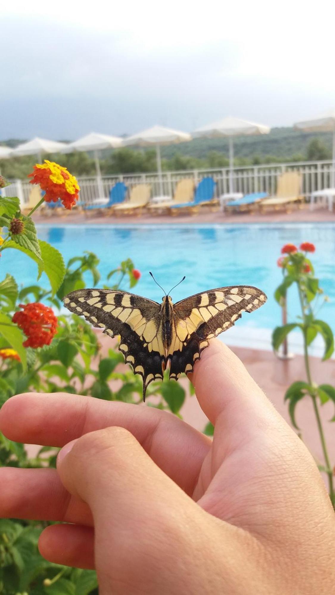 Calamon Apartments Episkopi-Chania エクステリア 写真