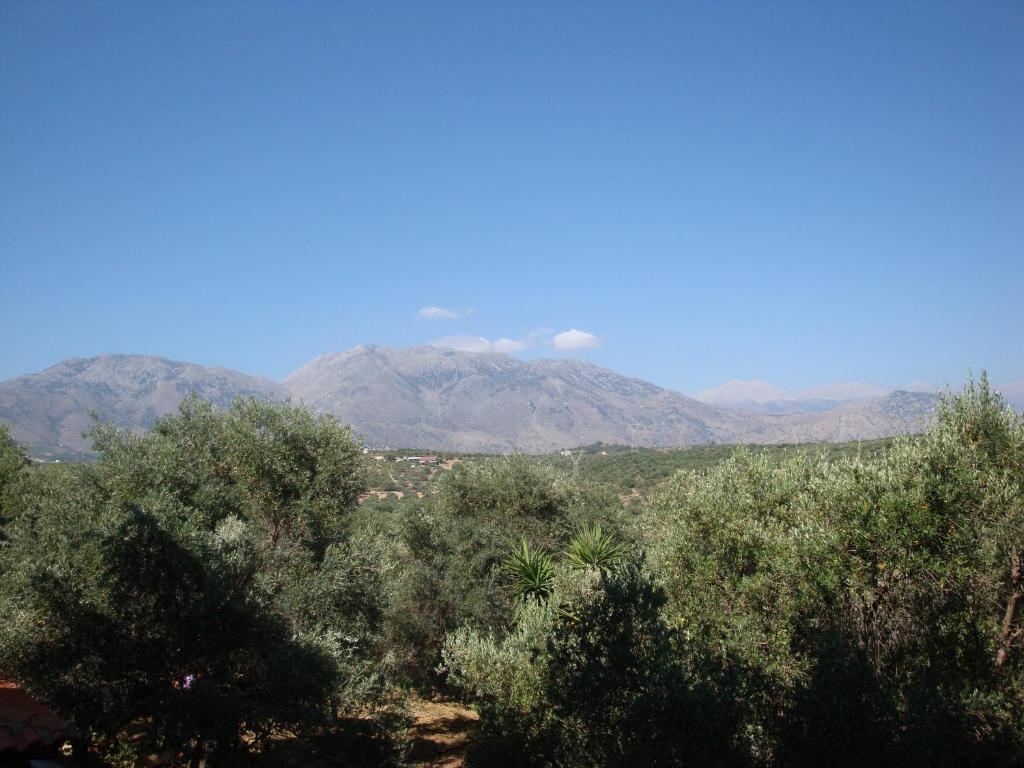 Calamon Apartments Episkopi-Chania エクステリア 写真