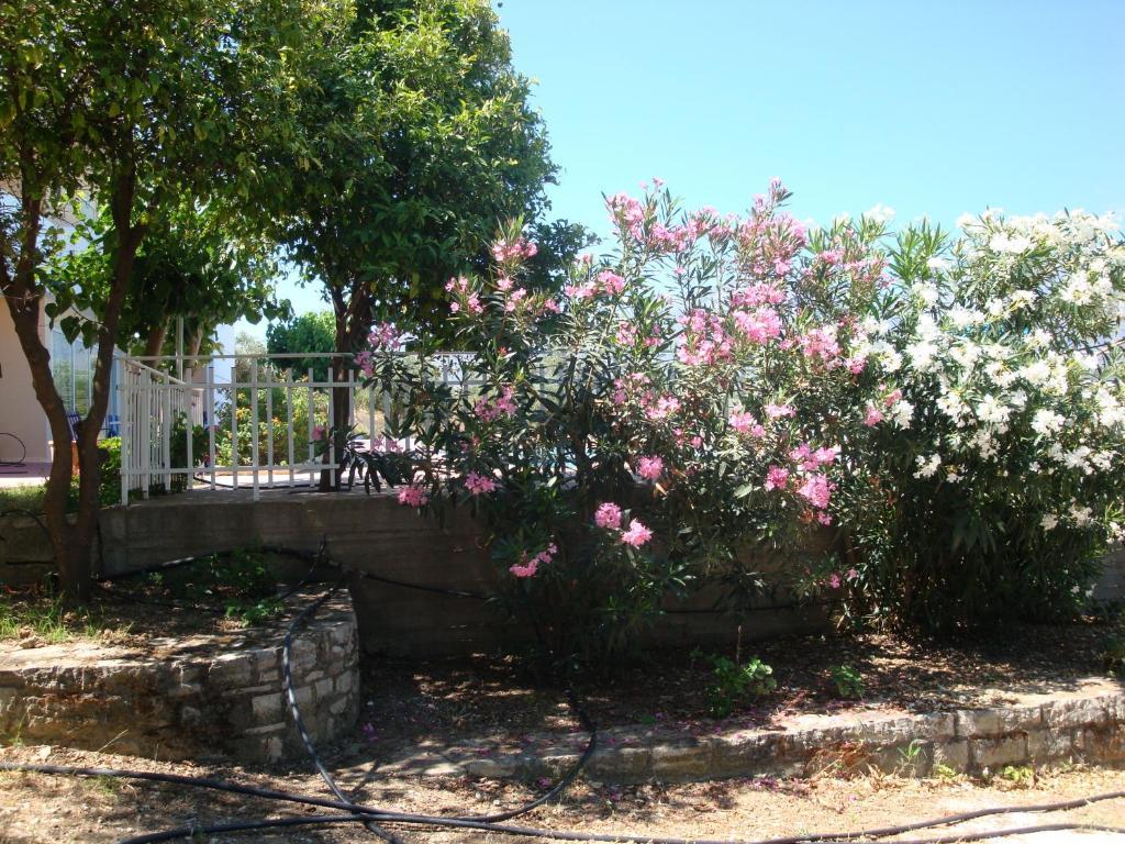Calamon Apartments Episkopi-Chania エクステリア 写真