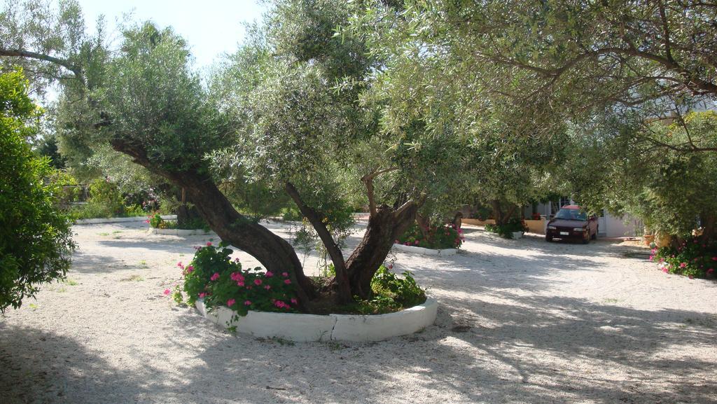 Calamon Apartments Episkopi-Chania エクステリア 写真