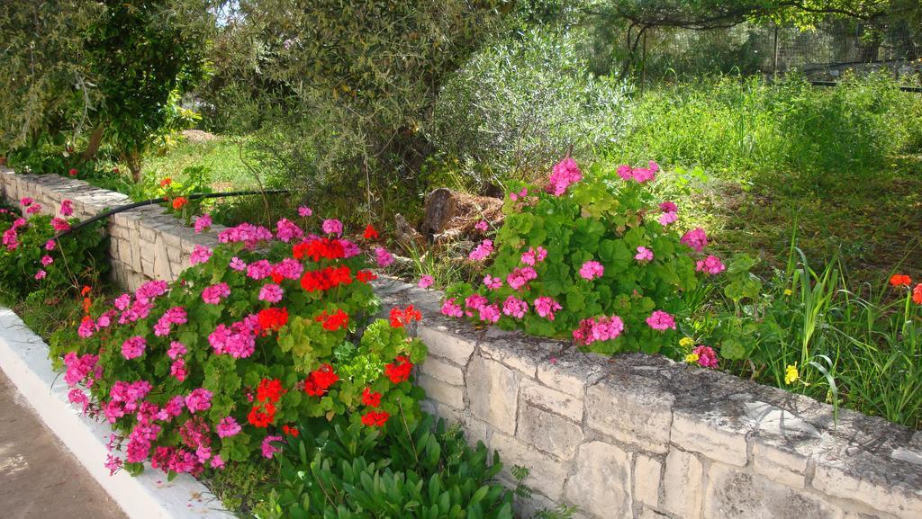 Calamon Apartments Episkopi-Chania エクステリア 写真