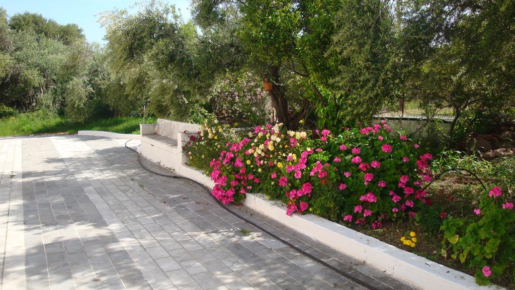 Calamon Apartments Episkopi-Chania エクステリア 写真