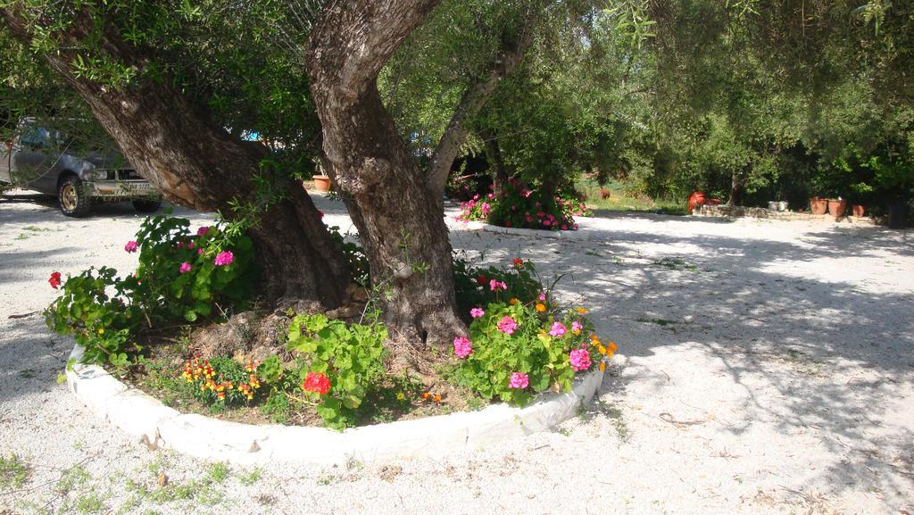 Calamon Apartments Episkopi-Chania エクステリア 写真