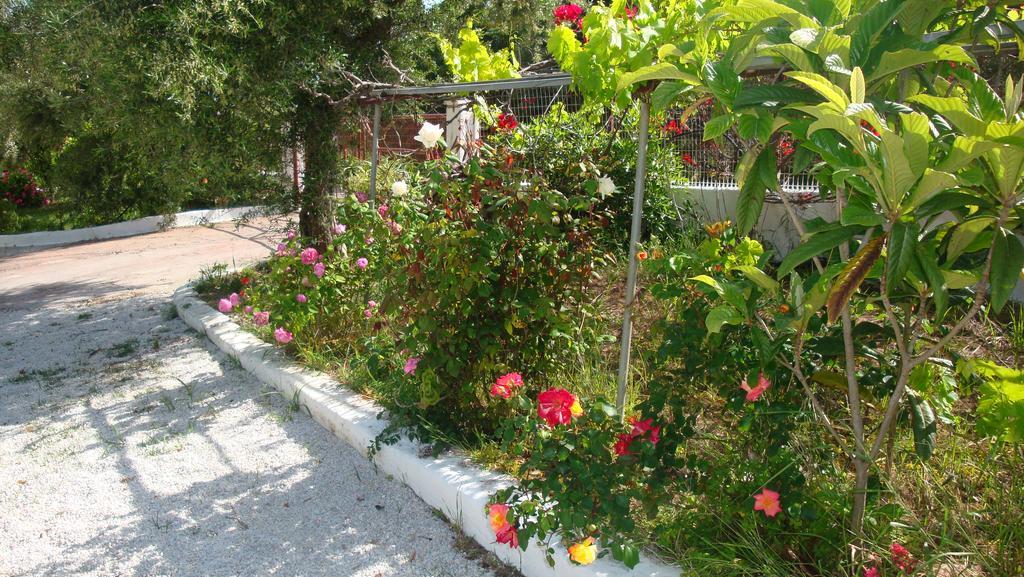 Calamon Apartments Episkopi-Chania エクステリア 写真