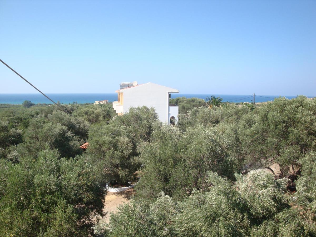 Calamon Apartments Episkopi-Chania エクステリア 写真